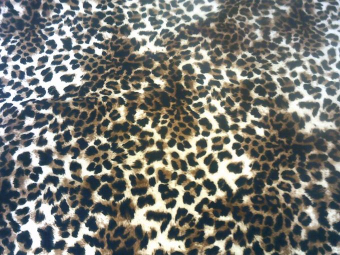 Καπαρτίνα 'PRADA' leopard