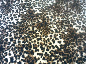 Καπαρτίνα 'PRADA' leopard